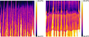 Thermal Imaging Used At Imperial College